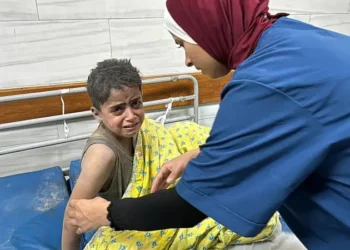 “No hay cirujanos ni una sola ambulancia… Los heridos llegan a pie o en carros tirados por animales”: el relato de uno de los pocos médicos que quedan en Gaza