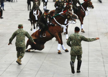 VIDEOS | Caídas y resbalones: los caballos enfrentan dificultades y caen durante el Desfile de la Revolución Mexicana