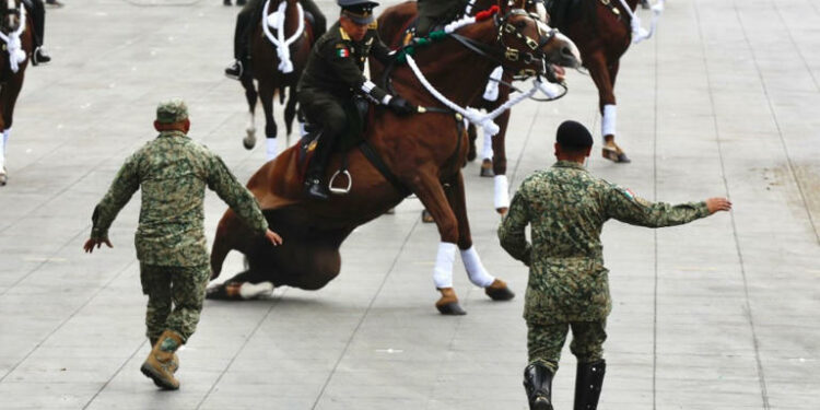 VIDEOS | Caídas y resbalones: los caballos enfrentan dificultades y caen durante el Desfile de la Revolución Mexicana