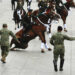 VIDEOS | Caídas y resbalones: los caballos enfrentan dificultades y caen durante el Desfile de la Revolución Mexicana