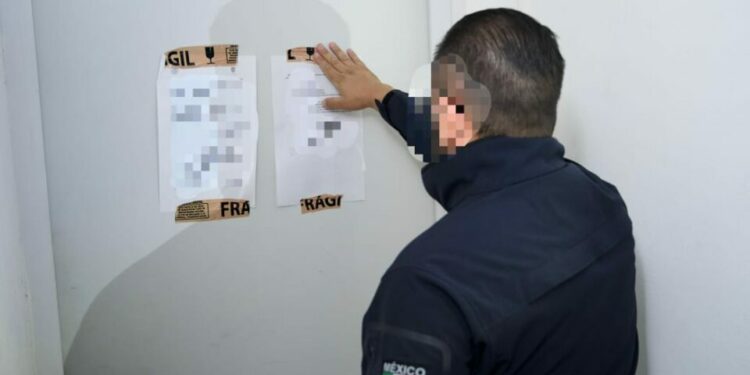 Aseguran 150 kilos de droga en Villa de Pozos