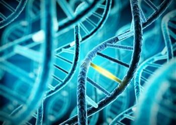 La guerra impacta el funcionamiento del ADN de los niños y repercute en su desarrollo.