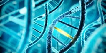 La guerra impacta el funcionamiento del ADN de los niños y repercute en su desarrollo.