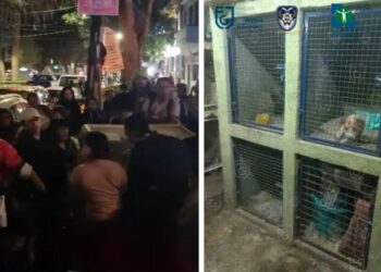 VIDEO| Fiscalía CDMX ‘rescata’ animales tras denuncia de maltrato en albergue; vecinos protestan por irregularidades durante operativo