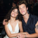Shawn Mendes dio a conocer detalles sobre su vínculo con Camila Cabello, su expareja