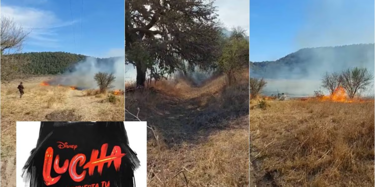 Filmación de Disney daña predio en Armadillo