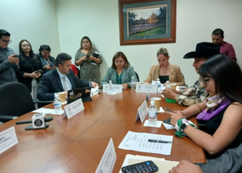 Avanza despenalización del aborto en SLP