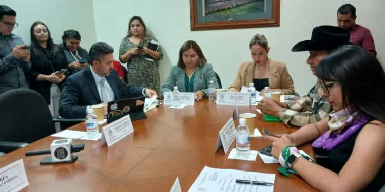 Avanza despenalización del aborto en SLP