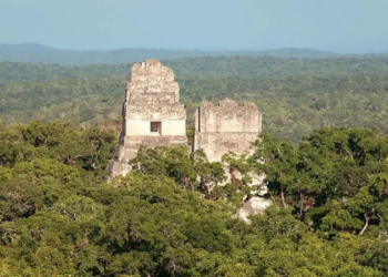 De que manera es que las ciudades mayas han resistido por más de un milenio en plena selva