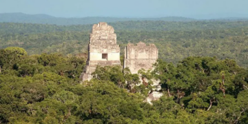 De que manera es que las ciudades mayas han resistido por más de un milenio en plena selva