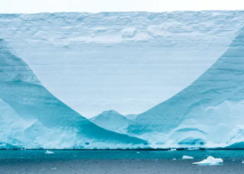 Cómo el iceberg más grande del mundo captó la atención de los medios y cambió el océano a su alrededor