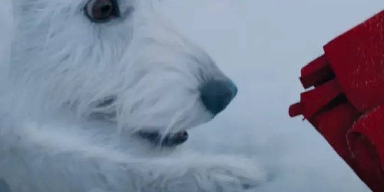¿Es un pájaro, es un avión? Krypto se roba el show en el tráiler de ‘Superman: Legacy’