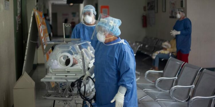 Experto explica origen de bacteria que causó 13 muertes en Edomex