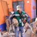 Dos perros abandonados fueron rescatados en la Colonia Nuevo Foresta