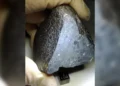 Científicos hallan una nueva pista sobre la vida en Marte con un meteorito marciano encontrado en la Tierra en 2011