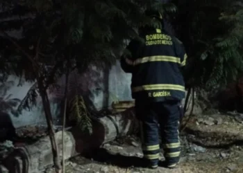 VIDEO| Incendio en Iztapalapa consume cajas de tráiler en la Central de Abasto