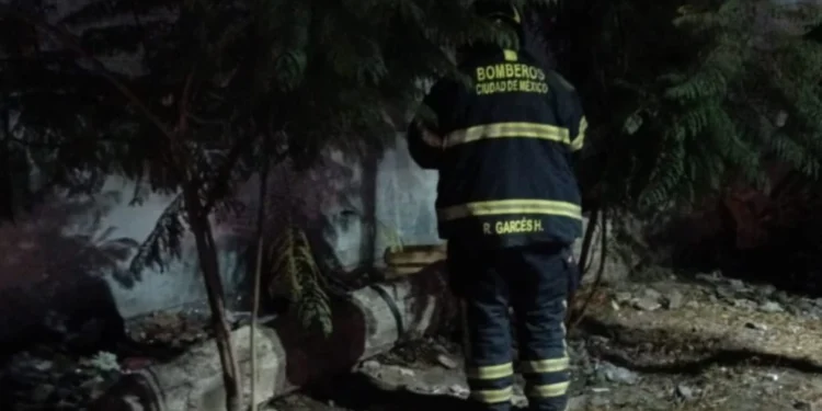 VIDEO| Incendio en Iztapalapa consume cajas de tráiler en la Central de Abasto
