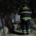 VIDEO| Incendio en Iztapalapa consume cajas de tráiler en la Central de Abasto