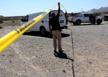 Hallan siete cuerpos con impactos de bala en San Ignacio, Sinaloa