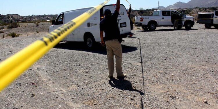 Hallan siete cuerpos con impactos de bala en San Ignacio, Sinaloa