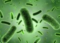 Trece niños fallecen debido a una posible infección por la bacteria Klebsiella oxytoca