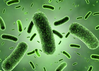 Trece niños fallecen debido a una posible infección por la bacteria Klebsiella oxytoca