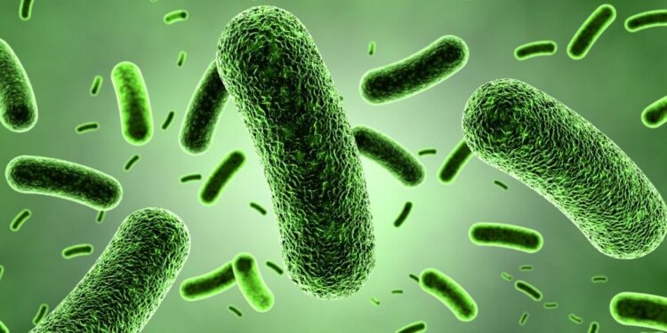 Trece niños fallecen debido a una posible infección por la bacteria Klebsiella oxytoca
