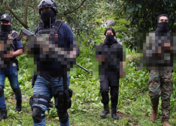 Cártel de Sinaloa y CJNG podrían fusionarse y cambiar su nombre: Montenegro