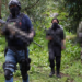 Cártel de Sinaloa y CJNG podrían fusionarse y cambiar su nombre: Montenegro