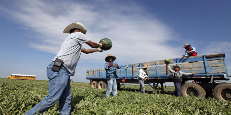Una deportación masiva como la propuesta por Trump afectaría la economía de EE.UU. ¿Cuánto aportan los migrantes indocumentados a la economía?
