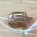 Un McLaren acabó dividido en dos después de chocar en un área escolar de Dallas: los ocupantes resultaron fallecidos