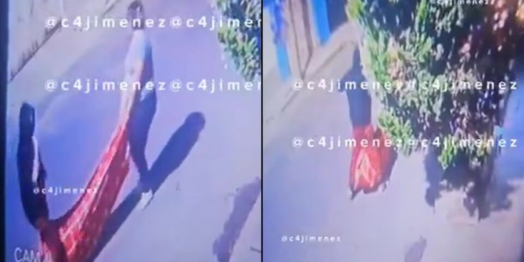 VIDEO: Mujer asesinó a su marido de un sillazo por una discusión