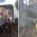 Avioneta se desploma en área boscosa de Jalisco; se reportan 7 fallecidos