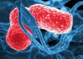 Fallecieron 17 menores por bacteria Klebsiella oxytoca; brote está controlado, asegura SSa