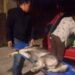 Perros atacados por enjambre en V. de Pozos