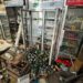 Poderoso sismo sacude Vanuatu