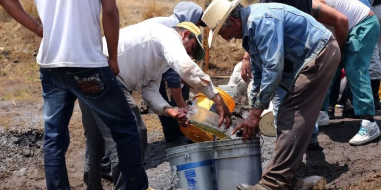 Confiscan 5,850 litros de “huachicol” en terrenos cercanos a la 57