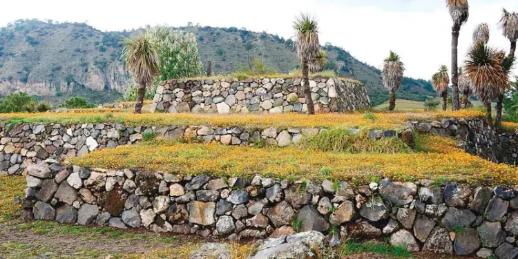 Celebran la relevancia del sitio de Cantona, antigua ciudad prehispánica
