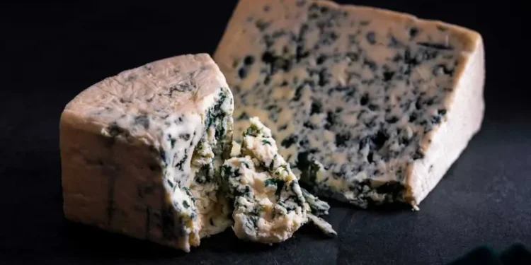 ¿Por qué el queso azul tiene un olor “desagradable”?
