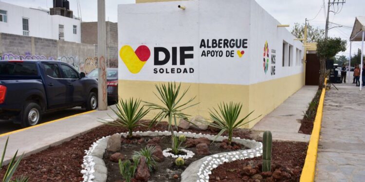VIDEO | A pesar del frío extremo, algunas personas se niegan a buscar refugio en un albergue