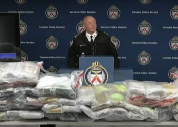 Canadá incauta 835 kilos de cocaína al CJNG, el mayor decomiso en Toronto