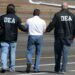 La DEA irrumpe en un antro clandestino y detiene a 50 migrantes indocumentados
