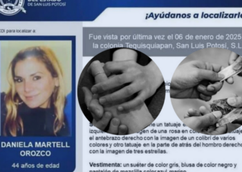Las tres líneas de investigación en la desaparición de Daniela Martell: venta de drogas, exesposo o examante