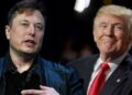 Guerra de IAs: Trump y Elon Musk