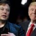 Guerra de IAs: Trump y Elon Musk