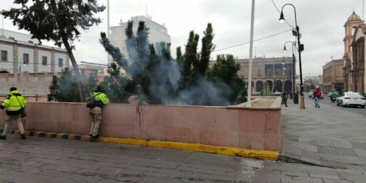 VIDEO | Fuego consume jardinera en Fundadores