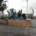VIDEO | Fuego consume jardinera en Fundadores