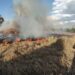 El incendio en el Parque Tangamanga I ha sido controlado, reportan autoridades