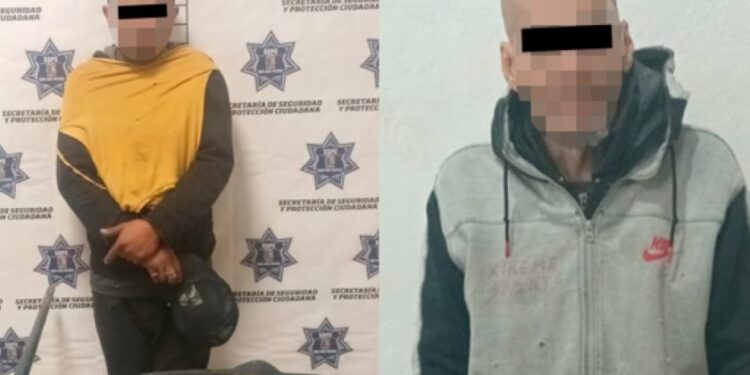 Video | Capturan a dos hampones grabados por cámaras en la zona centro