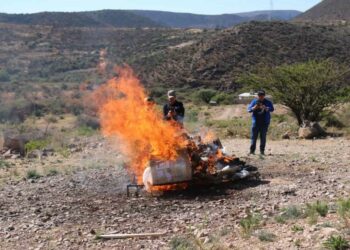 Destruyen y queman 38.7 kg de narcóticos decomisados en San Luis Potosí